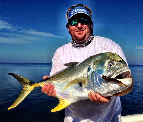 Jack Crevalle | Reel Florida Fishing Charters