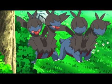 pokemon evolution chart:deino - YouTube