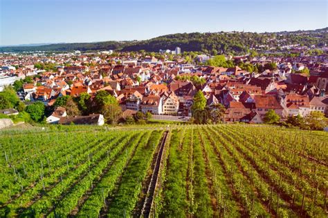 View of Esslingen with Vineyards from Dicker Turm Stock Image - Image ...