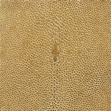 Shagreen in pure gold by Alexander Lamont. Lamont, Floor Patterns, Pure Gold, Shark, Stamps ...