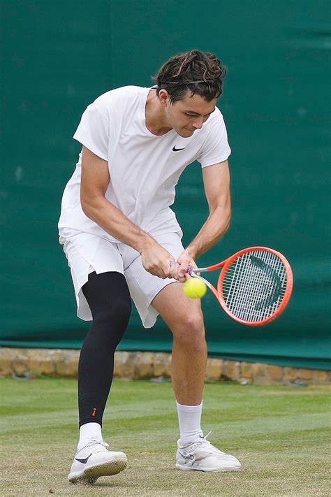 Fritz winning at Wimbledon after very recent surgery | Fulton Sun