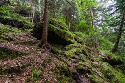 Hiking In Bohemian Switzerland National Park - NOMADasaurus Adventure Travel Blog