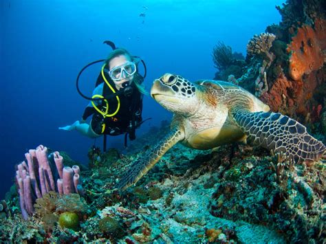 Scuba Diving in Diani Beach | Diani Water Sports