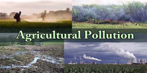 Agricultural Pollution - Assignment Point