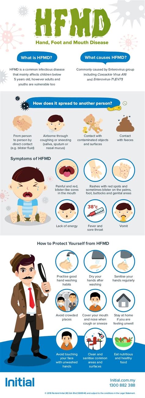 Infographic- Hand, foot, and mouth disease (HFMD)