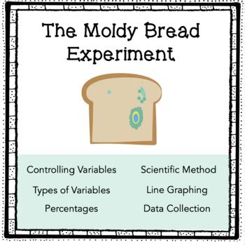 Moldy Bread Experiment (Experiment Design/Controlling Variables)