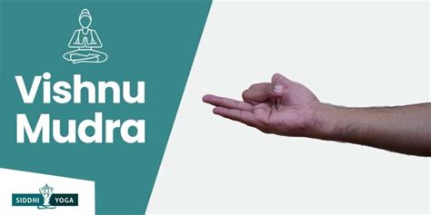 Vishnu Mudra: Its Meaning, Benefits & How To Do| Siddhi Yoga