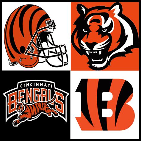 Cincinnati Bengals Team Color Codes, Logo and Symbolism - Color Psychology