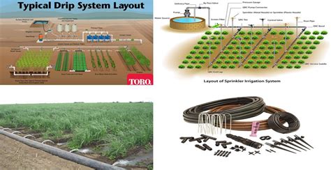 Different Types Of Irrigation System Advantages And Disadvantages ...