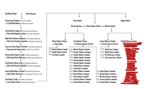 The Young Euramersian Philanthropist: My Salamat Ancestry