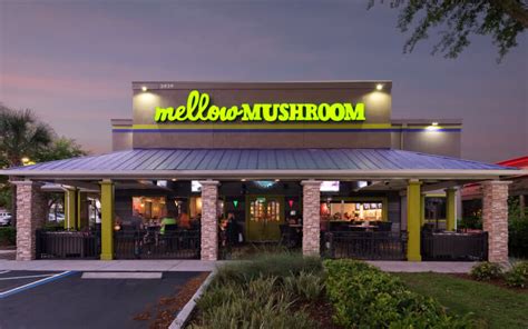 Mellow Mushroom - Video Surveillance Case