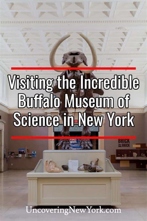 What It's Like to Visit the Buffalo Museum of Science - Uncovering New York