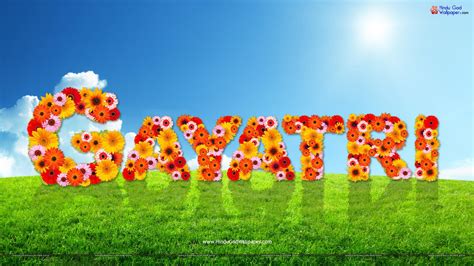 jay name wallpaper,sky,grass,font,spring,lawn (#406241) - WallpaperUse