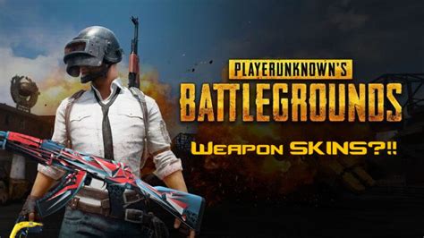 [PUBG] Is adding Weapons Skins a good thing or bad thing?