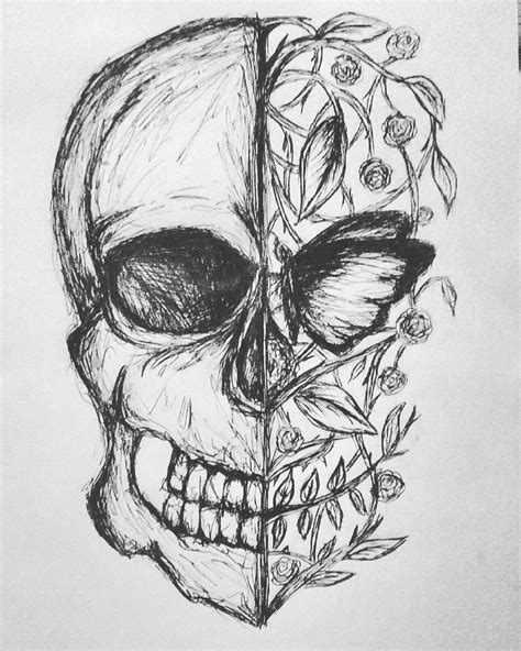 a pencil drawing of a skull and butterfly