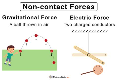 Contact & Non-contact Forces: Definition, Types, & Examples