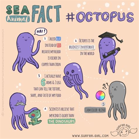 10 Crazy Facts About Octopus