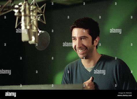 Film Still / Publicity Still from "Madagascar" David Schwimmer © 2005 ...