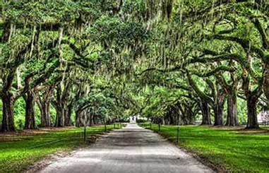 Charleston Plantation Tours | Charleston-Tours