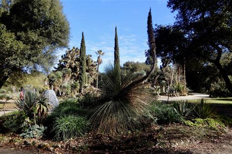 Stanford’s Arizona Garden and Mausoleum (Spring): Cacophony Amongst the ...