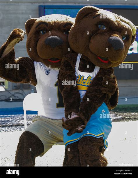 Ucla mascot hi-res stock photography and images - Alamy