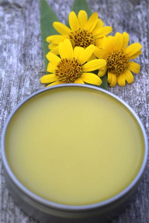 How to Make Arnica Oil & Salve (Plus How to Use Them)