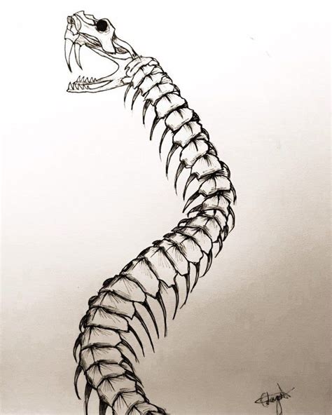 a drawing of a fish skeleton on a white background