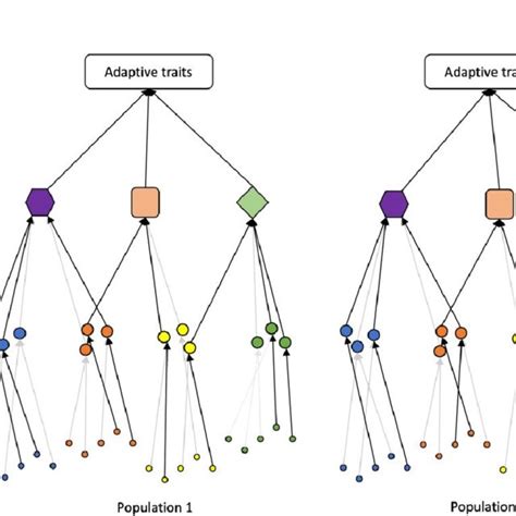 -Illustration of trait hierarchy and redundancy in adaptive trait... | Download Scientific Diagram