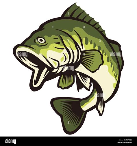 largemouth bass fish green color nature catch illustration Stock Photo - Alamy