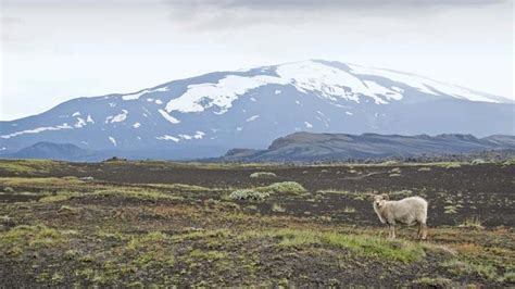 Hekla | volcano, Iceland | Britannica