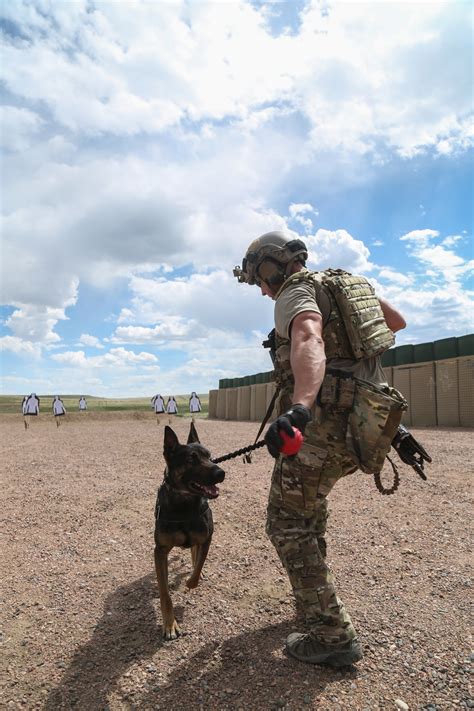 DVIDS - Images - 10th Group Green Berets, K9s, and Law Enforcement ...