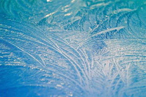 Morning Frost Free Stock Photo - Public Domain Pictures