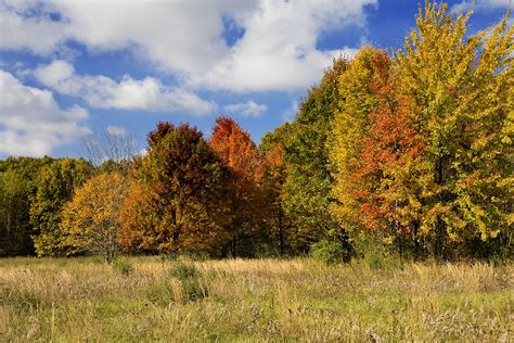 Michigan Fall Colors | Fall Colors - Oakwood Metro Park - Fl… | Flickr