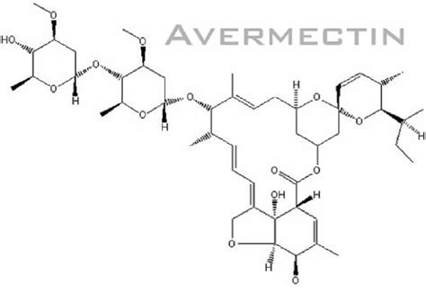 Microbe Pundit: Where the wild-things are, and where avermectin comes from.