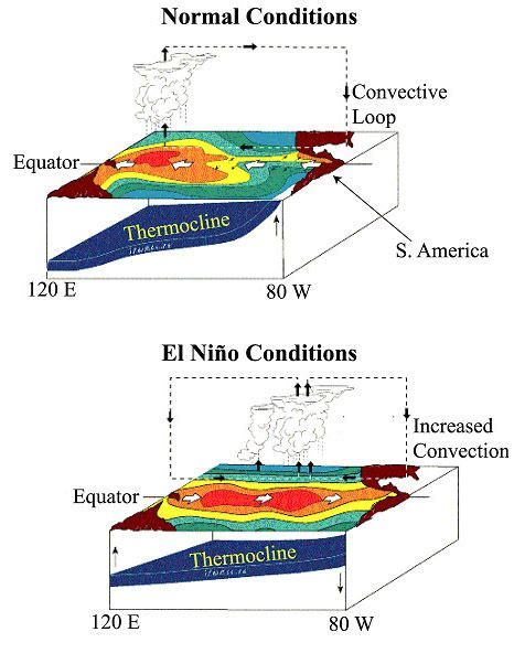 El Nino-schematic - University of Maryland, College Park