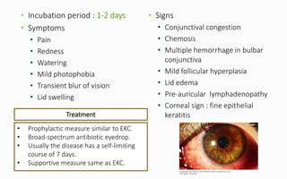 Acute Hemorrhagic Conjunctivitis Virus