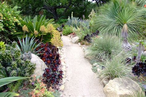 Garden of the Week | Xeriscape, Succulents, Outdoor decor