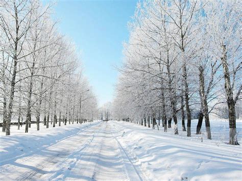 snowy road-winter scenery HD Wallpaper-1200x900 Download | 10wallpaper.com