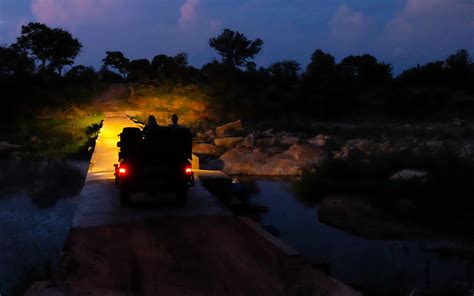 Night Safari - African Flying Adventures