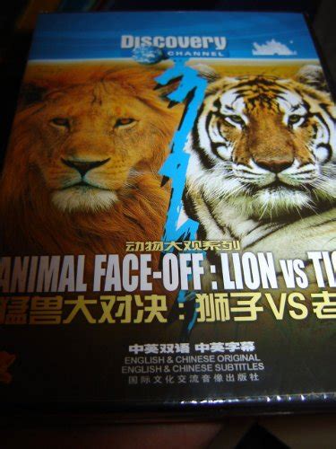 ANIMAL FACE-OFF: LION VS TIGER / DISCOVERY CHANNEL: 9787020075553 - AbeBooks