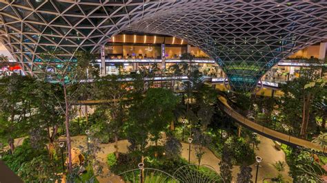 Hamad International Airport Becomes an Orchard