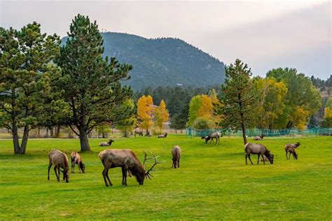 18 Best Things to Do in Estes Park, CO - Our Escape Clause