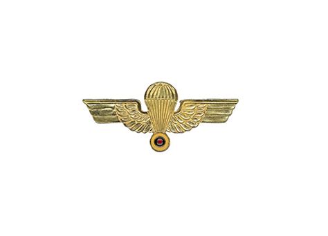 Foreign Jump Wings – Sta-Brite Insignia Inc.