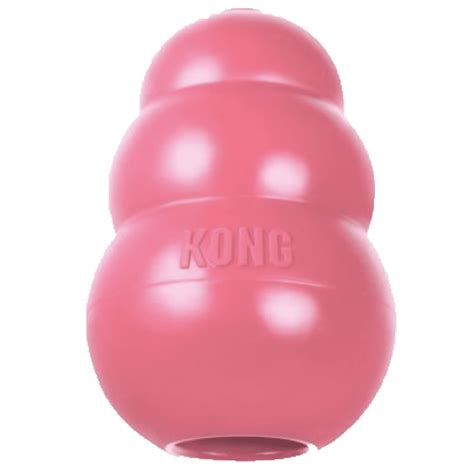 Why Are Kong Toys Good For Dogs