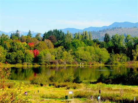 Deer Lake Park (Burnaby) - 2019 Everything You Need to Know Before You Go (with Photos ...