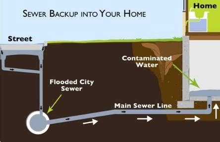 Sewage Backup Ottawa | Cleaning and Disinfection Services -Fast Response Times - Ottawa Extreme ...