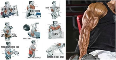 6 Exercises in 2 Supersets For Bigger and Stronger Triceps And Biceps ...