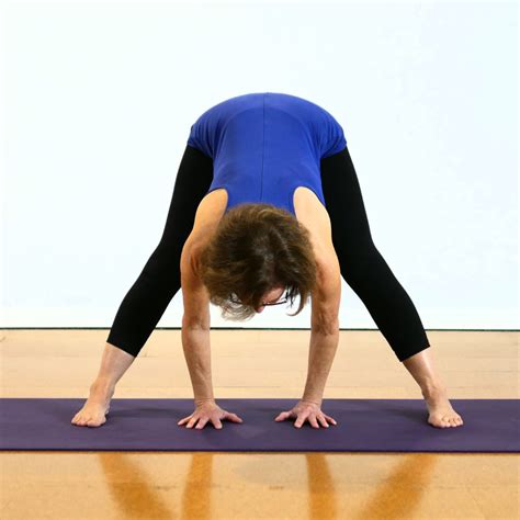 Prasarita Padottanasana B