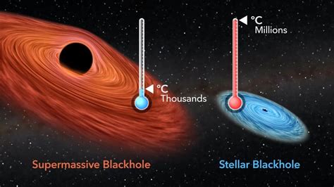 Stellar Black Holes: Size, Formation Process and More