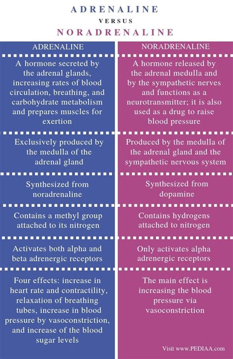 What is the Difference Between Adrenaline and Noradrenaline - Pediaa.Com | Medical student study ...